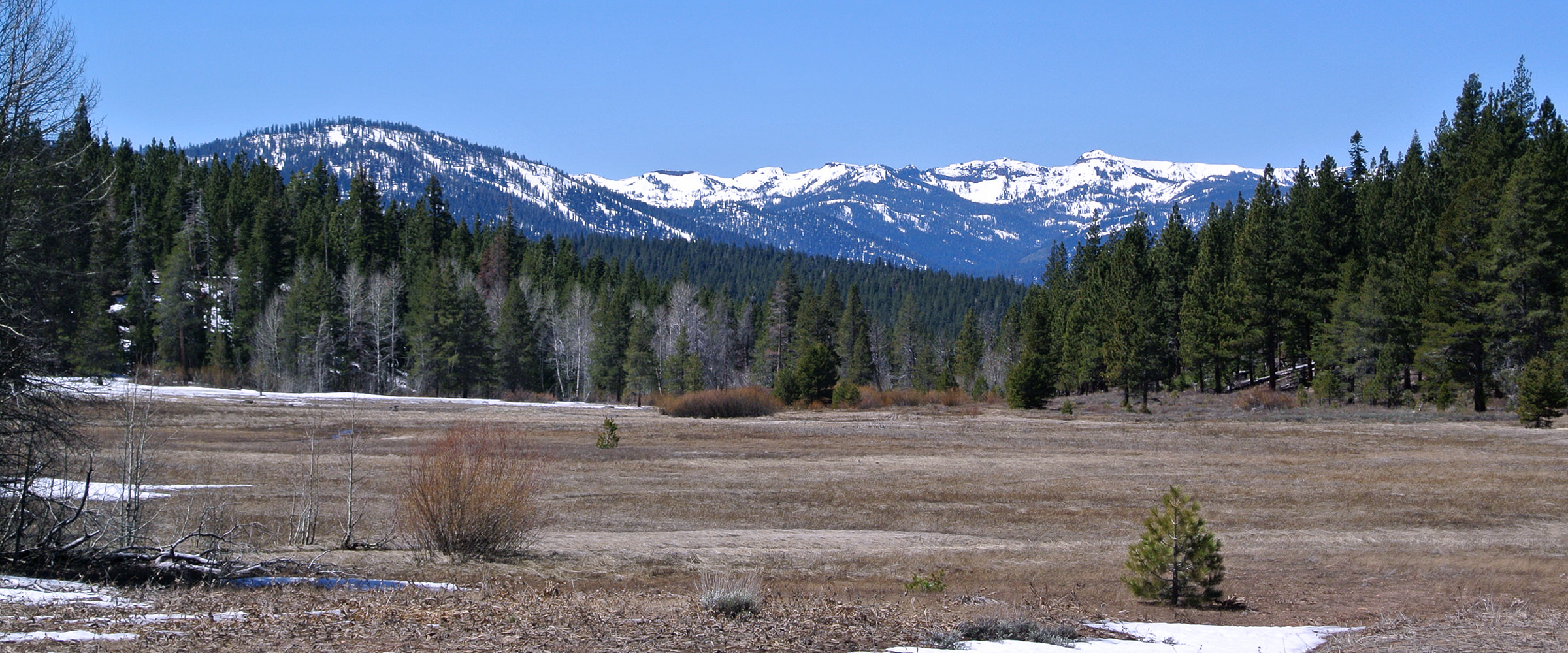 Meadow and acreage near the home of Snowlion Alaskan Malamutes