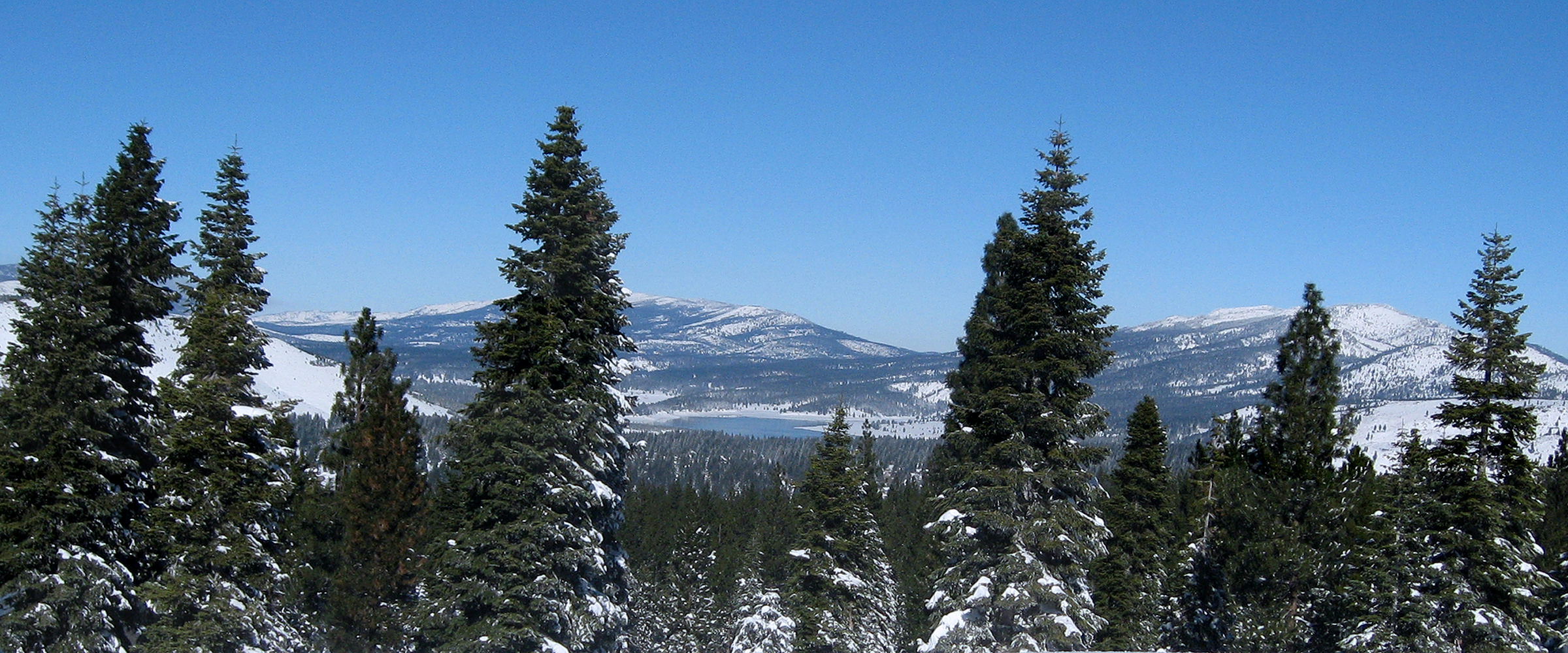 Surrounded by national forest, with beautiful views from our home, Snowlion Kennels in the Sierra